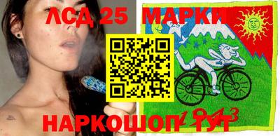spice Кандалакша